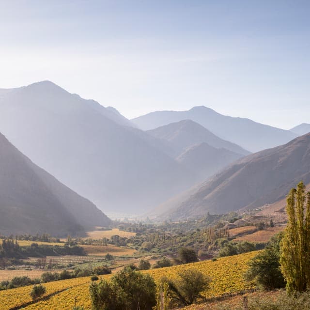 la región vitivinícola de chile