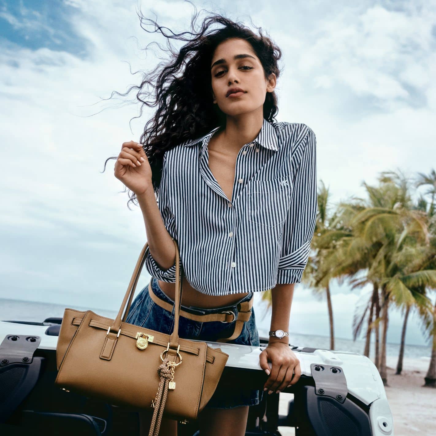 hamilton moderne handbag